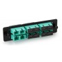 Hyperline FO-FPM-W120H32-6DSC-AQ Панель для FO-19BX с 6 SC (duplex) адаптерами, 12 волокон, многомод OM3/OM4, 120x32 мм, адаптеры цвета аква (aqua) Hyperline FO-FPM-W120H32-6DSC-AQ Панель для FO-19BX с 6 SC (duplex) адаптерами, 12 волокон, многомод OM3/OM4, 120x32 мм, адаптеры цвета аква (aqua)
