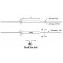 Hyperline FO-SPL-1x2-E11-0.9-3M Сплиттер (разветвитель, ответвитель) оптический 1х2, одномод., равномерный ,1310/1550(±40nm), 3 m, 0.9 mm, неоконцованный Hyperline FO-SPL-1x2-E11-0.9-3M Сплиттер (разветвитель, ответвитель) оптический 1х2, одномод., равномерный ,1310/1550(±40nm), 3 m, 0.9 mm, неоконцованный