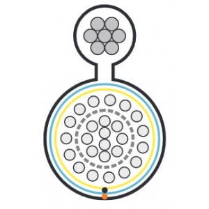 Hyperline FUTP10-C3-S24-SW-OUT-PE-BK Кабель витая пара, экранированная F/UTP, категория 3, 10 пар (24 AWG), одножильный (solid), экран - фольга, с металлическим тросом, внешний, PE, –40°C - +60°C, черный Hyperline FUTP10-C3-S24-SW-OUT-PE-BK Кабель витая пара, экранированная F/UTP, категория 3, 10 пар (24 AWG), одножильный (solid), экран - фольга, с металлическим тросом, внешний, PE, –40°C - +60°C, черный