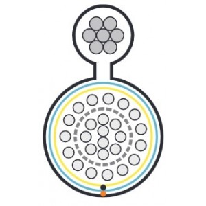 Hyperline FUTP25-C3-S24-SW-OUT-PE-BK Кабель витая пара, экранированная F/UTP, категория 3, 25 пар (24 AWG), одножильный (solid), экран - фольга, с металлическим тросом, внешний, UV PE, -40°C – +60°C, черный Hyperline FUTP25-C3-S24-SW-OUT-PE-BK Кабель витая пара, экранированная F/UTP, категория 3, 25 пар (24 AWG), одножильный (solid), экран - фольга, с металлическим тросом, внешний, UV PE, -40°C – +60°C, черный