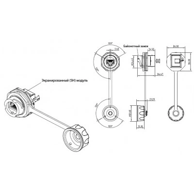 Hyperline KJ-IE-8P8C-C5e-180-SH-F-BK Промышленный модуль Keystone Jack RJ-45 (8P8C), IP67, категория 5e, с защитной крышкой, черный, экранированный (SH) Hyperline KJ-IE-8P8C-C5e-180-SH-F-BK Промышленный модуль Keystone Jack RJ-45 (8P8C), IP67, категория 5e, с защитной крышкой, черный, экранированный (SH)